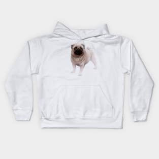 Mops Kids Hoodie